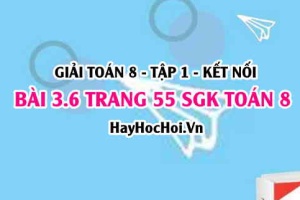 Giải bài 3.6 trang 55 Toán 8 Tập 1 SGK Kết nối tri thức
